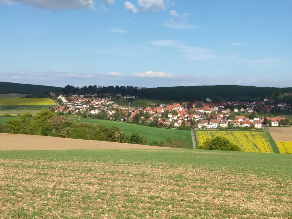 Blick über Äcker und ein gelbes Rapsfeld auf Roringen mit rot gedeckten Häusern, dahinter ein dunkler Waldrücken unter blauem Himmel.