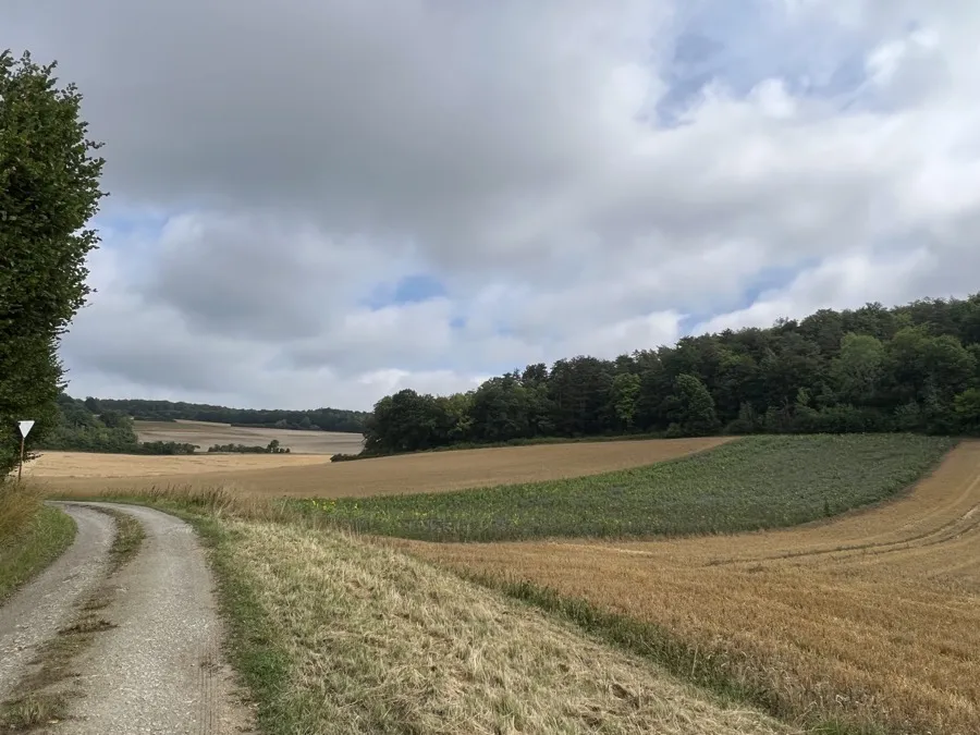 Das Bratental
