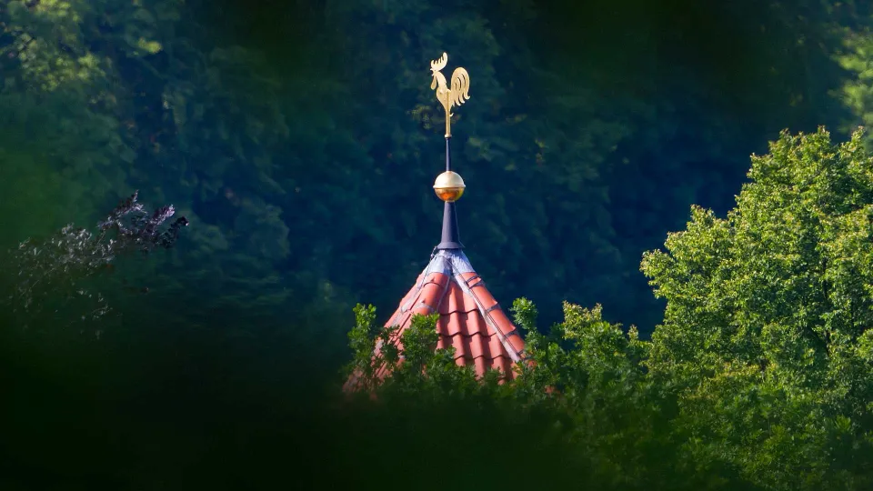 Turmspitze mit goldener Kugel und goldenem Wetterhahn über einem roten Ziegeldach, umgeben von dunkelgrünem Laub.